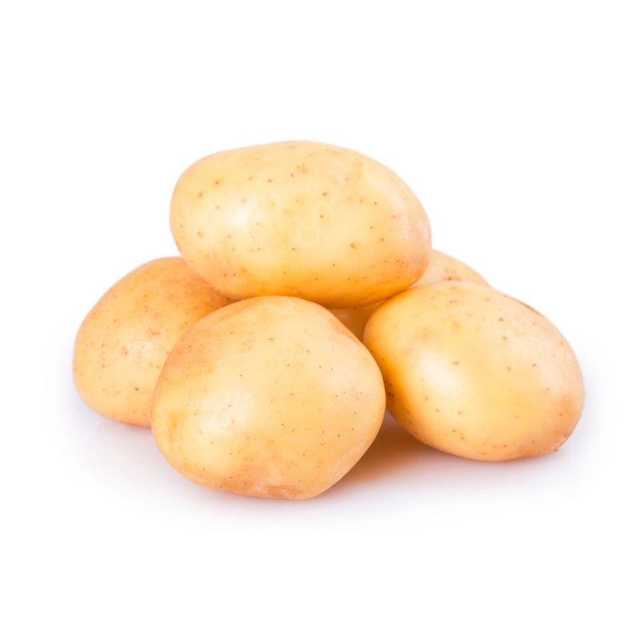 Papa Blanca